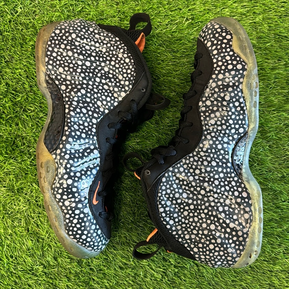 Nike air Foamposite One